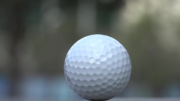 Sätta, Pro golfare, sport — Stockvideo