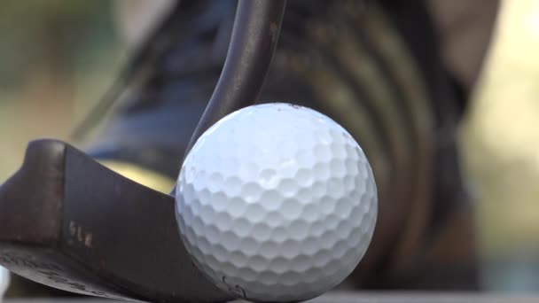 Sätta, Pro golfare, sport — Stockvideo