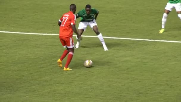 Coup de pied de football sur le but — Video