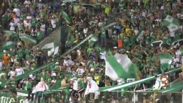 Maart 3, 2015 - Fans Cali, Colombia - op Soccer spel — Stockvideo