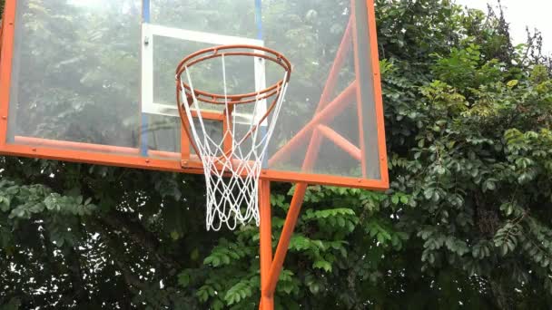 Basketbal Layup, Atletiek, sport — Stockvideo