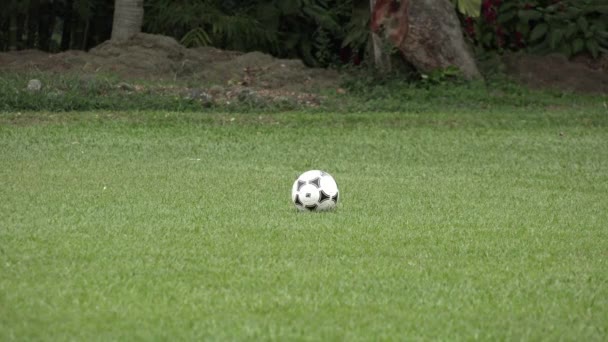 Piłka nożna sportowe zawodników, zespołów, — Wideo stockowe