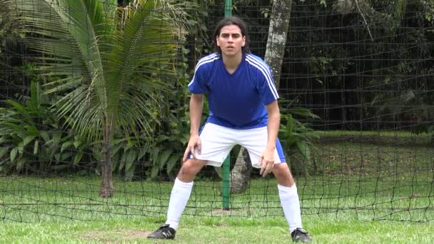 Soccer Goalie, Player, Futbol, Sports — Stock Video