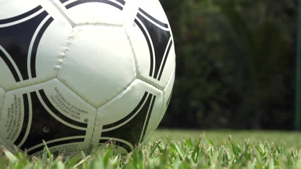 Αθλητικά μπάλα, ποδόσφαιρο, ποδόσφαιρο, ποδόσφαιρο — Αρχείο Βίντεο