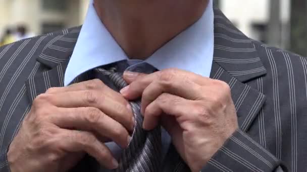 Business Suit, Clothes, Clothing, Apparel — Stock Video