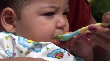 Bebek beslenme, bebek maması, Bebek