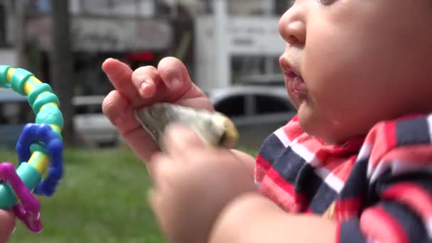 Baby bedrijf geld — Stockvideo