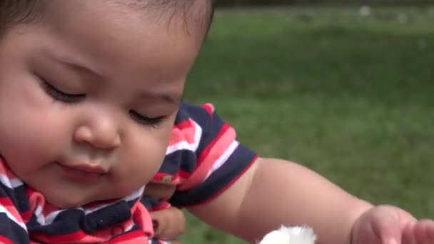 Bebê com ursinho de pelúcia, infantil, brinquedos de pelúcia — Vídeo de Stock