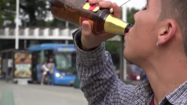 Bier oder Alkohol — Stockvideo