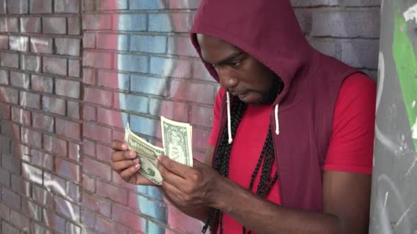 Papiergeld, Scheine, Währung, Dollar — Stockvideo