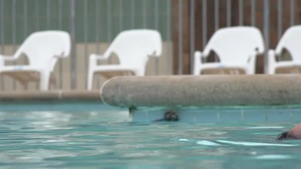 Mujer flotando en la piscina — Vídeo de stock