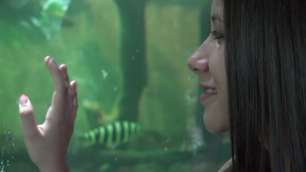 Meisje in Aquarium — Stockvideo