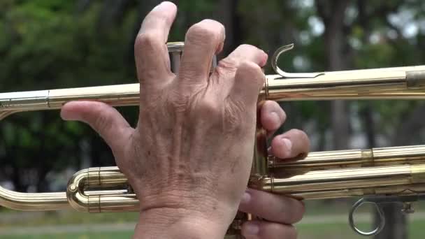 Trycka på Trumpet ventiler — Stockvideo