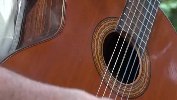 Akoestische gitaar snaren — Stockvideo