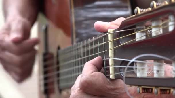 Akoestische gitaar Fret — Stockvideo