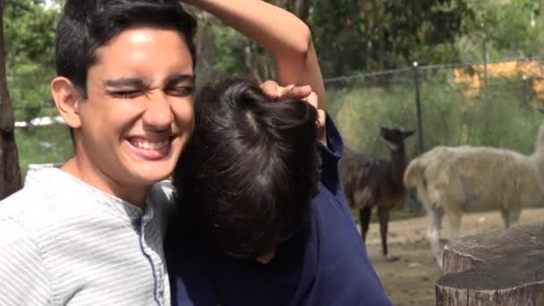Έφηβος Ισπανόφωνος αδελφοί στο ζωολογικό κήπο — Αρχείο Βίντεο