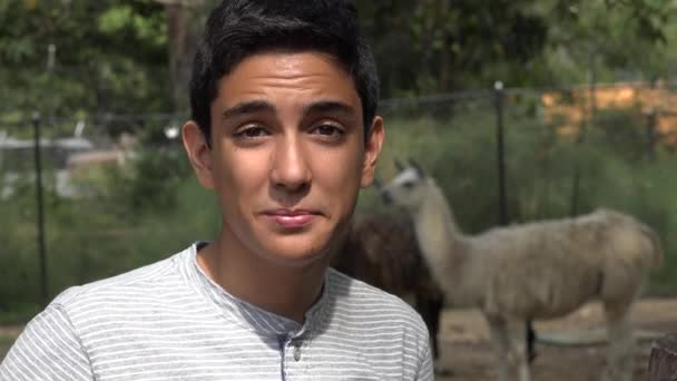 Menino hispânico adolescente no zoológico — Vídeo de Stock