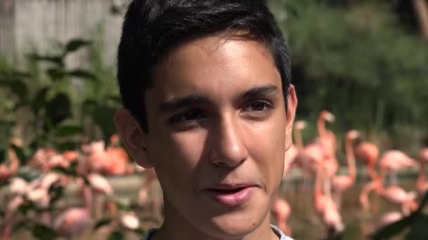 Teen pojke nära Flamingos i naturreservat — Stockvideo