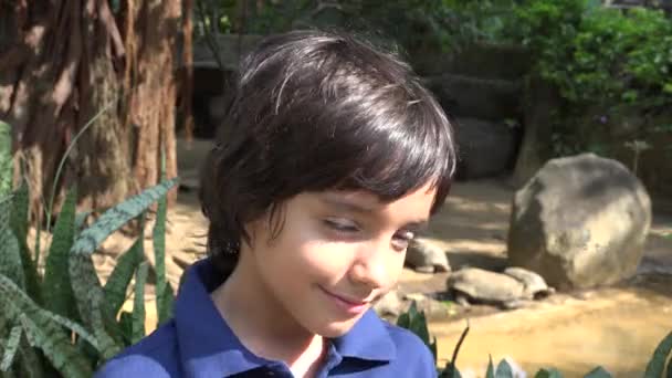 Préadolescent hispanique garçon à tortue exposition 