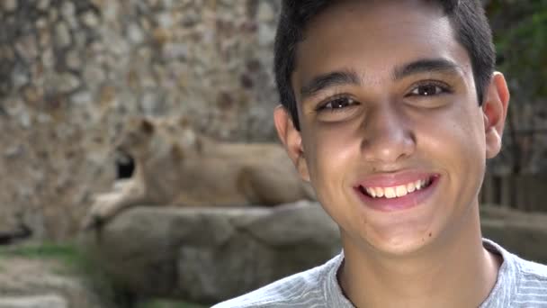 Adolescente menino posando no leão exposição — Vídeo de Stock