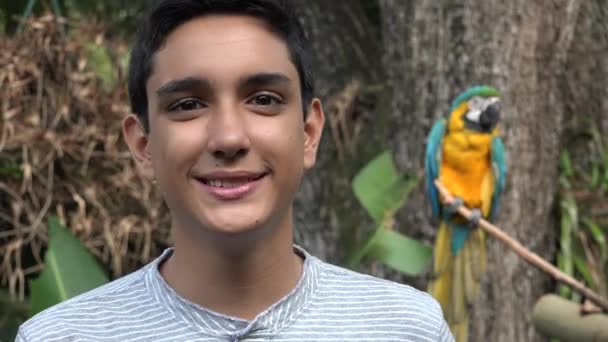 Teen Boy Posing with Parrot — Stok Video