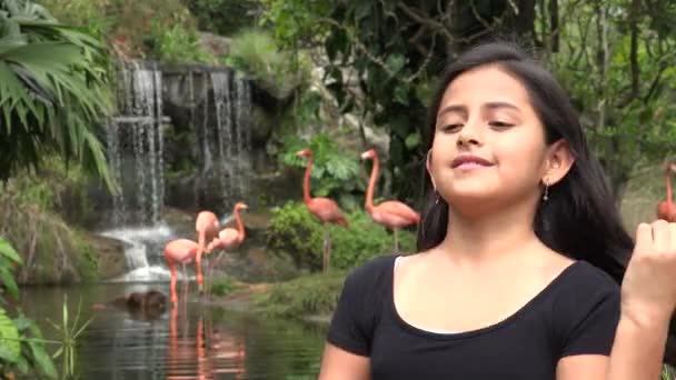 Meisje in de buurt van de waterval en flamingo 's — Stockvideo