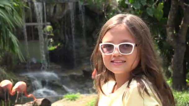 Dziewczynka nosi okulary — Wideo stockowe