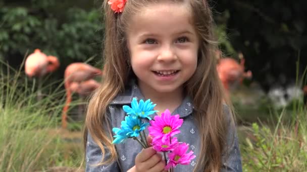 동물원에서 행복 한 아이 — 비디오