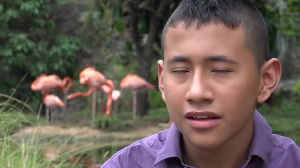 Colombian Teen Boy at Nature Reserve — Stock Video