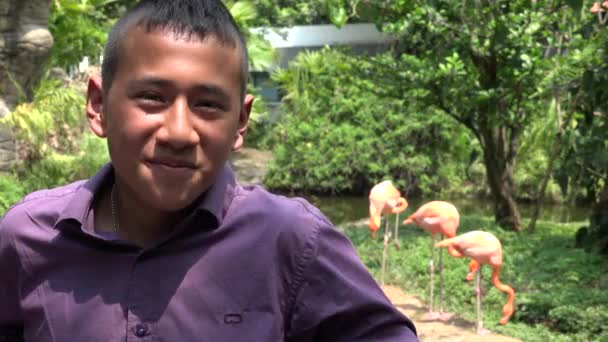 Relaxado adolescente menino durante o verão — Vídeo de Stock