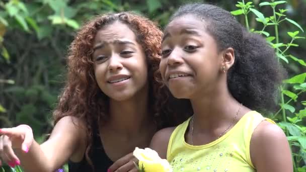 Chicas africanas felices en la naturaleza — Vídeos de Stock