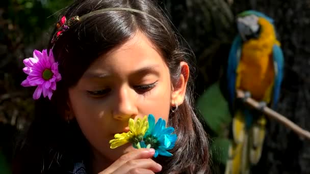 Hispanic Girl Posing near Parrot — Stock Video