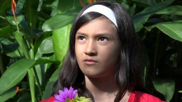 かなり、厳粛なヒスパニック系の女の子 — ストック動画