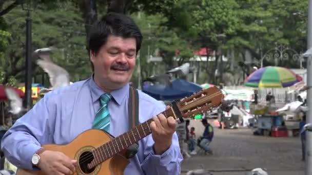 Guitarrista no Park Plaza no domingo — Vídeo de Stock
