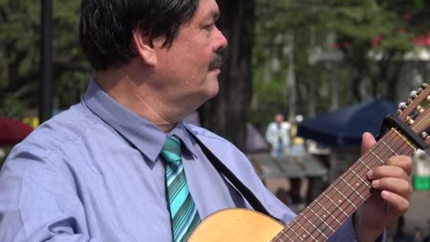Гитарист в парке с голубями — стоковое видео