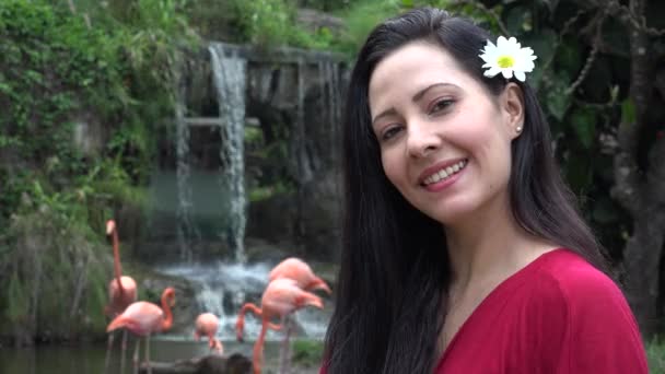 Volwassen vrouwtje bij waterval met Flamingo 's — Stockvideo
