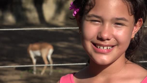 女孩与鹿在动物园合影 — 图库视频影像
