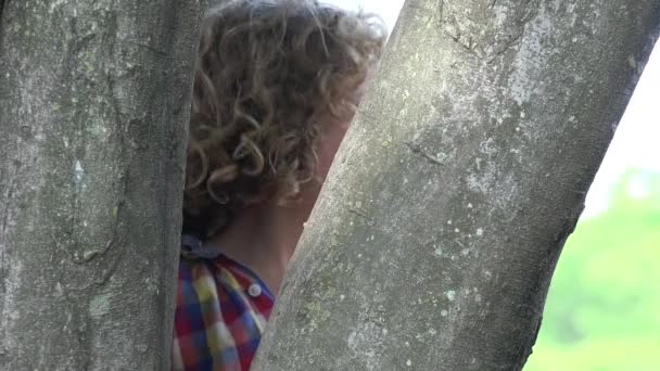 Niño escondido detrás del árbol — Vídeos de Stock