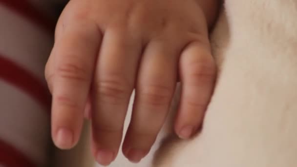 Kleine Hand van kind — Stockvideo