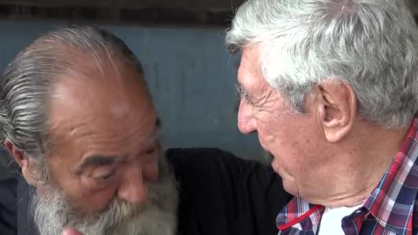 Ancianos Hombres Amigos Hablando — Vídeo de stock