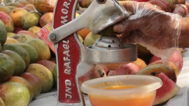 Squeeing Succo di frutta naturale — Video Stock