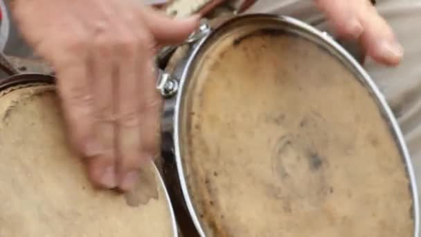 Hands Banging Bongo Drums — Stock Video