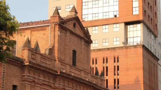 Pigeons volent à la vieille cathédrale — Video