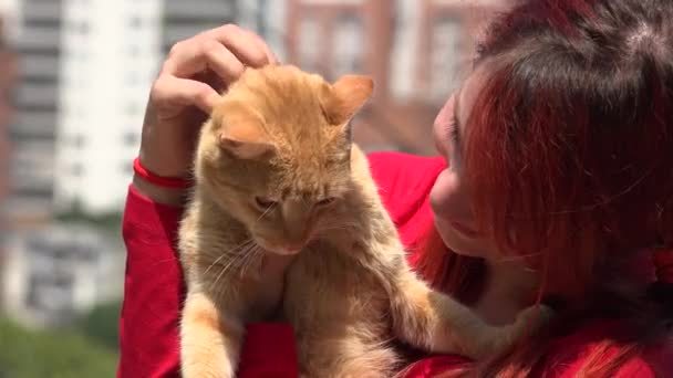 红发的年轻女人和猫 — 图库视频影像