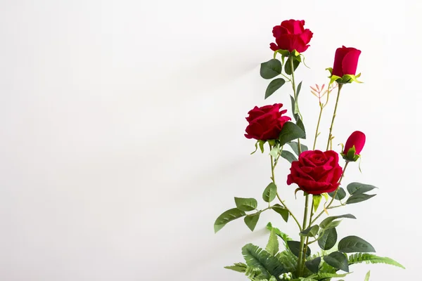 Rosas rojas en la maceta — Foto de Stock
