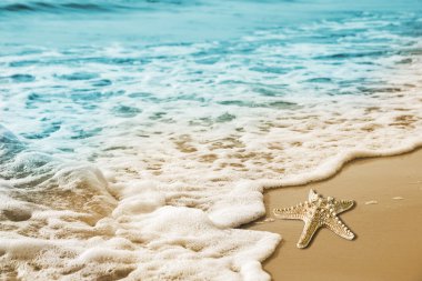 Starfish and soft wave on the sandy beach clipart