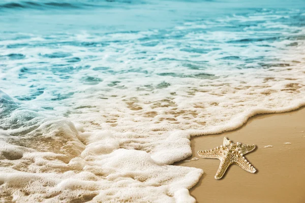 Deniz yıldızı ve kum plajındaki dalga yumuşak — Stok fotoğraf