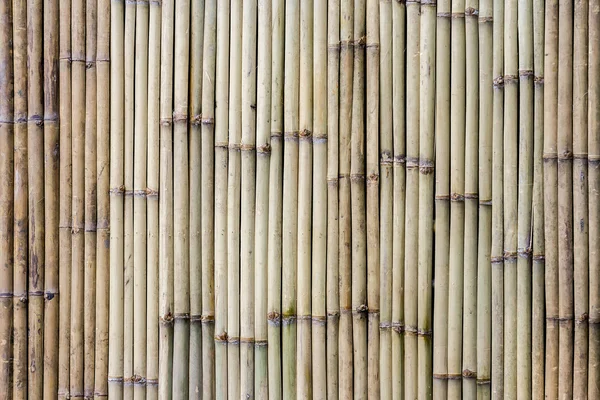 Fundo de cerca de bambu para trabalho de design — Fotografia de Stock