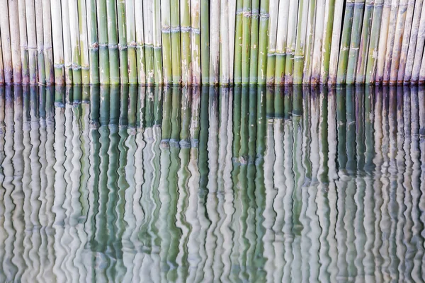 Reflejo de valla de bambú — Foto de Stock