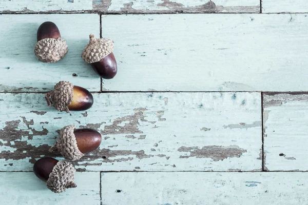 Acorn sobre fondo de madera vintage — Foto de Stock